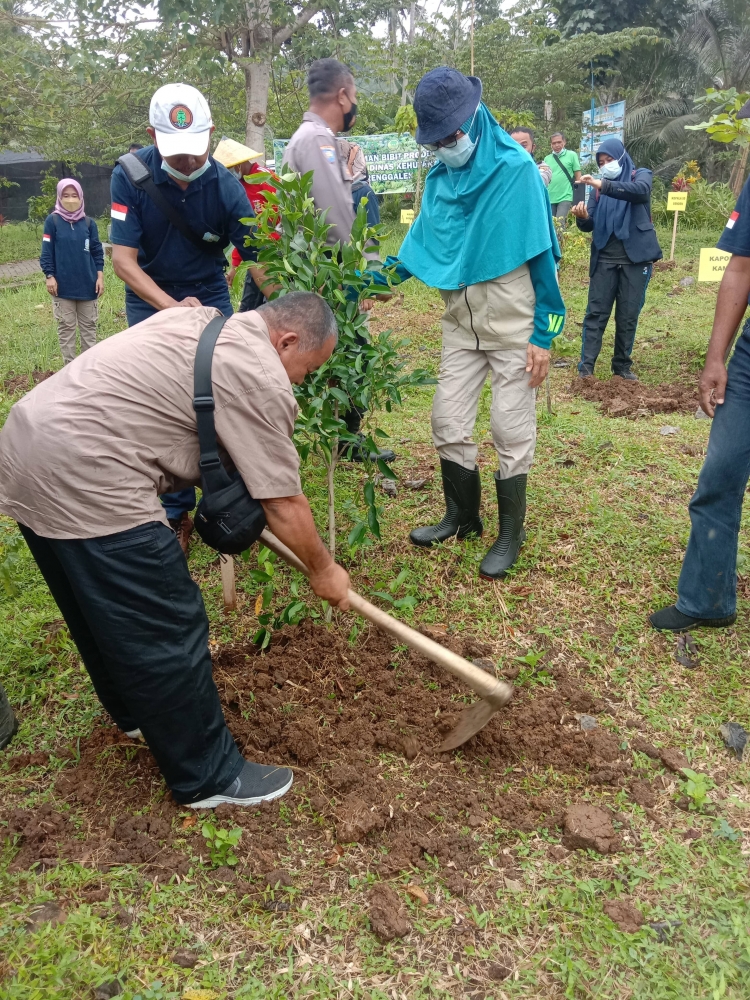 Pemerintah Desa Kuripan Kidul Gaspol Kembangkan Kampung Bibit