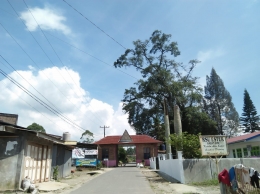Gerbang masuk desa Lingga dan kantor kepala desa di bawah pohon kayu kuda-kuda (Dokumentasi Pribadi)