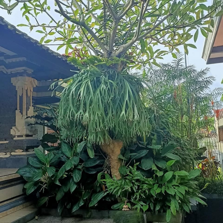 Foto: Dokumentasi Pribadi