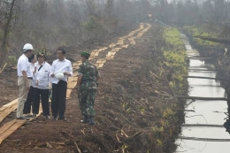 Presiden Joko Widodo meninjau lahan gambut (foto: Antara)