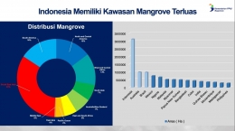 Indonesia Punya Kawasan Mangrove Terluas di Dunia
