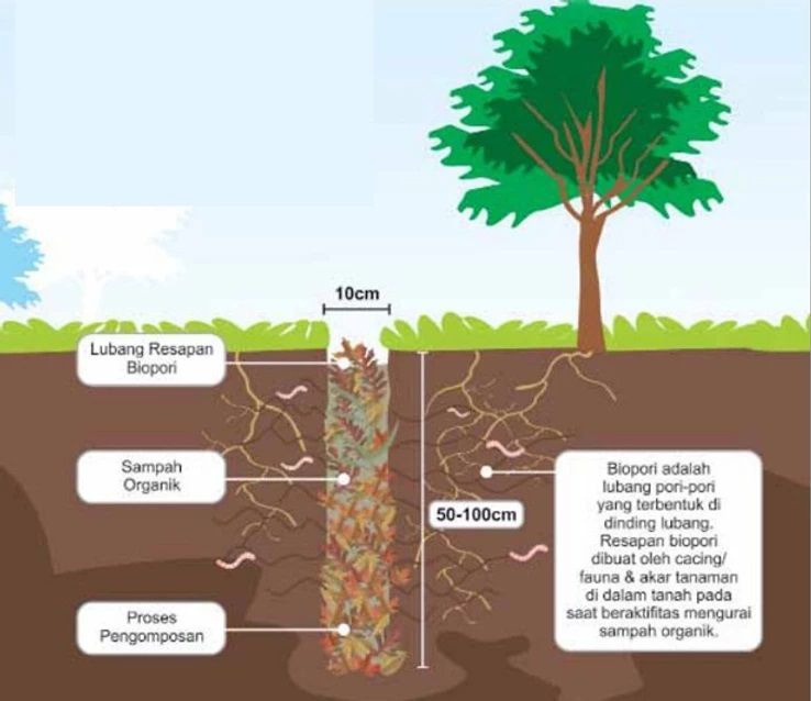 Mencegah Banjir Dan Memanfaatkan Sampah Organik Dengan Lubang Biopori ...