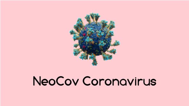 Illustration NeoCov Coronavirus (ihrpoe.co.in)