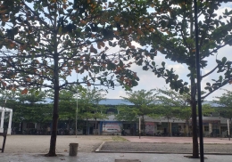 Sepasang pohon yang menguatkan. Foto diambil di Komplek Perguruan Muhammadiyah Mutiara, Asahan, Sumatera Utara oleh Saufi Ginting