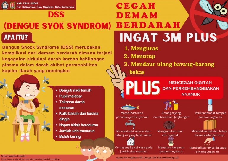Cegah DBD, Mahasiswa KKN UNDIP Tim I 2022 Lakukan Edukasi 3M Plus ...