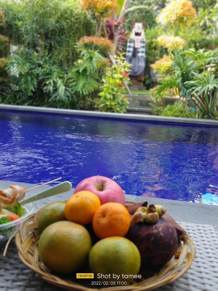 Dok.Pri buah dan pura di homestay tempat upacara Odalan