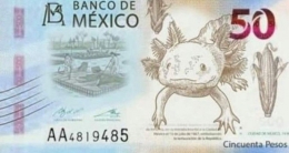 Imej ajolote dalam uang kertas 50 pesos Meksiko.