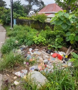 Tingkat kesadaran masyarakat yang rendah, membuang sampah sembarang di pinggir jalan. Lokasi Kota Kupang. dok pribadi