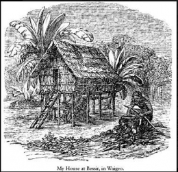 ilustrasi pondok yang ditempati Wallace saat di Waigeo, Papua (sumber: the Malay Archipelago) 