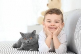 Anak Dan Kucing Peliharaan | Sumber Medcom.id