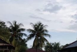 Keindahan pohon kelapa dalam paduan dengan langit | Dokumen pribadi oleh Nasa