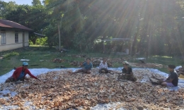 UMKM masyarakat mengolah buah kelapa menjadi kopra | Dokumen pribadi oleh Nasa