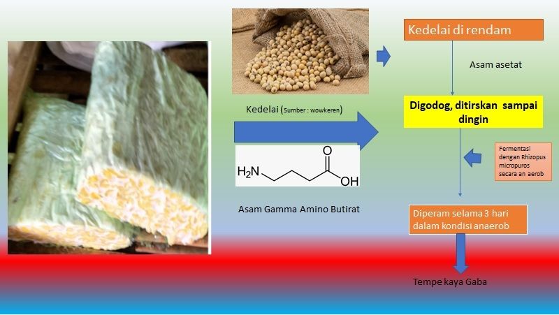 Meningkatkan Nilai Tambah Tempe, Dipusaran Harga Kedelai Yang Melangit ...