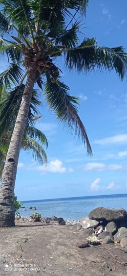 Tanah dan bebatuan berwarna hitam karena Teon adalah sebuah pulau gunung api (dokumentasi pribadi)