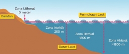 Zona litoral, Neritik dan Oseanik (sumber: https://duniapendidikan.co.id)