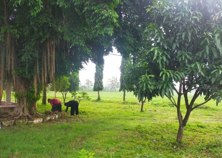 Gambar: Lingkungan di sekitar Punden Sembujo yang terlihat bersih dan asri setelah dilakukan pelestarian dan perawatan