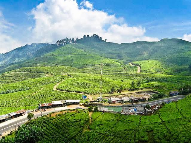 Ilustrasi kawasan Puncak yang hijau, indah, dengan udara yang menyegarkan | Foto: AllIndonesiaTourism.com