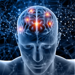 Otak memiliki 1000 miliar sel saraf (Medical photo created by kjpargeter - www.freepik.com)