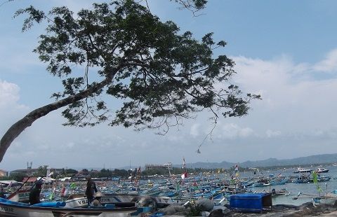 Pelabuhan Jayanti Pangandaran by @umilasminah