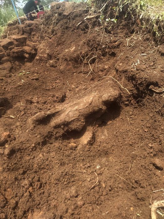 Arca batu yang masih tertimbun tanah, sedikit demi sedikit berhasil ditampakkan ujudnya (Sumber: Wicaksono Dwi Nugroho)