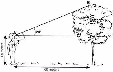 Sumber gambar: http://cshsyear10maths.global2.vic.edu.au/Pinterest