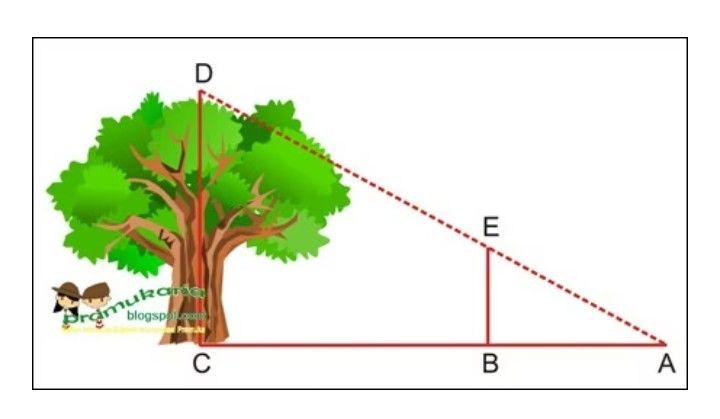 Sumber gambar: dwiyulunik.wordpress.com