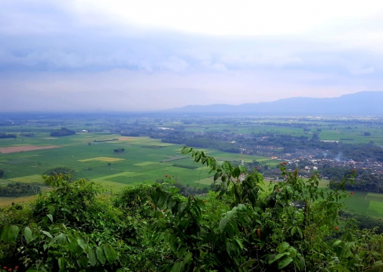 Dari bagian tengah bukit. Dokumentasi penulis