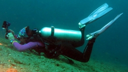 Pesona Keindahan Alam Di Laut Dan Darat Ambon Manise