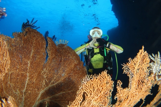 Pesona Keindahan Alam Di Laut Dan Darat Ambon Manise