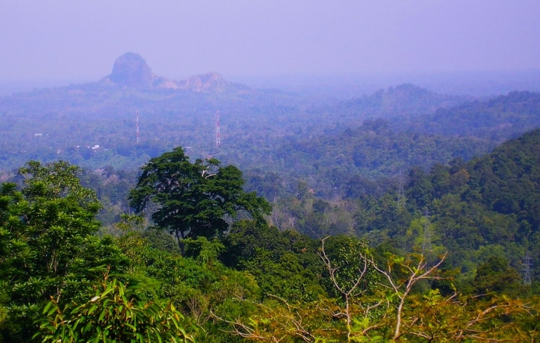 Image: Di perbukitan inilah Kakek Merza menemukan Rafflesia Arnoldi yang sedang mekar.