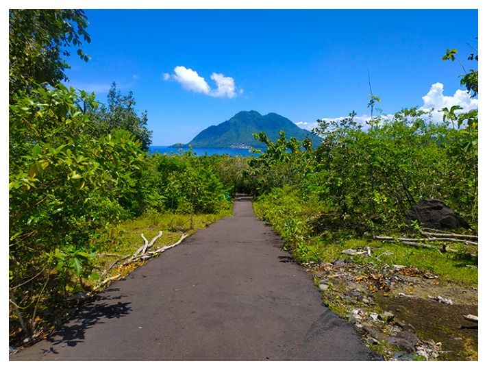Salah satu pemandangan yang tersaji dari perjalanan objek wisata Pulo Tareba menuju perkampungan warga (Dokpri)