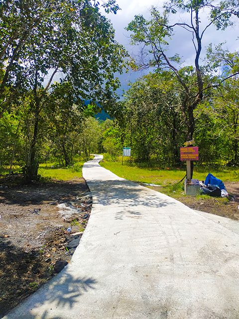 Jalan setapak di depan objek wisata Pulo Tareba menuju ke perkebunan warga (Dokpri)