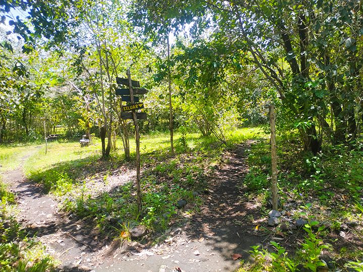 Lokasi di objek wisata Pulo Tareba yang kerap dimanfaatkan untuk melaksanakan perkemahan (Dokpri)