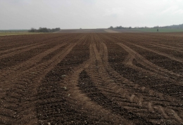 Persediaan lahan untuk pertanian | Dokumen pribadi oleh Ino