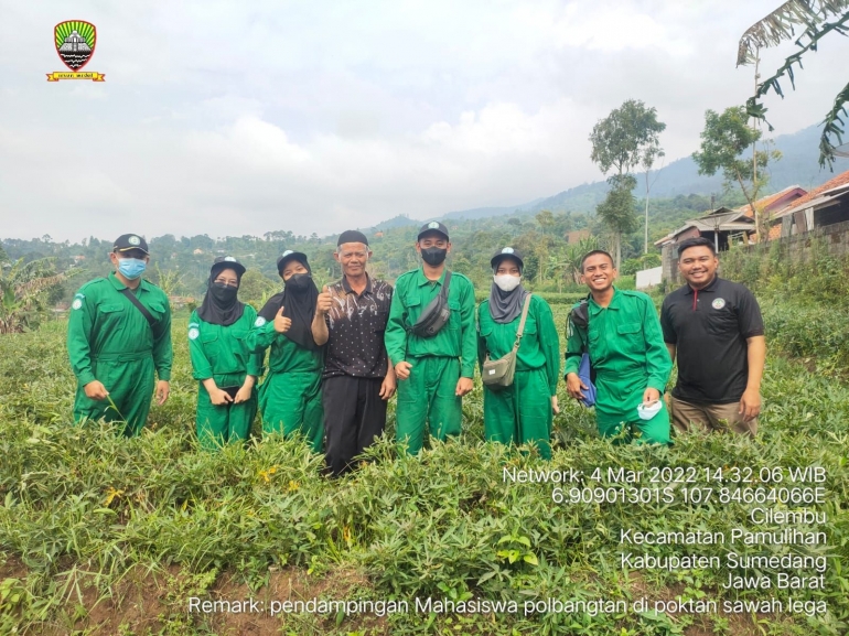 Panen Ubi Cilembu bersama petani dan penyuluh pertanian (Sumber/Dokumentasi pribadi)
