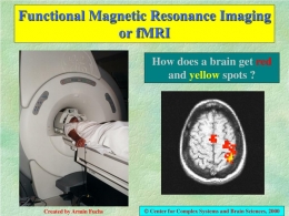 MRI/fMRI (slideserve.com)