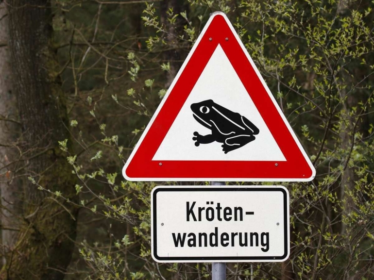 Rambu sekitar wilayah migrasi katak | Merkur.de/Imago