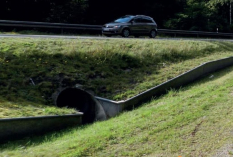Terowongan katak di Jerman, mencegah kepunahan spesies amfibi| foto: Nabu Gotha/ R.Bellstedt—