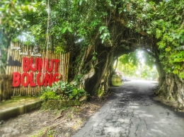 Wisata Bunut Bolong Di Kabupaten Jembrana, Bali| Dokumentasi Pribadi