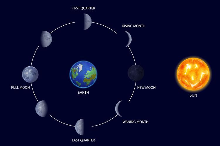 Ilustrasi revolusi bulan terhadap bumi (sumber: kompas.com)