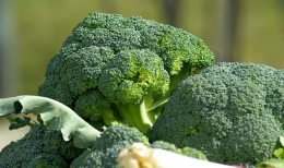 Brokoli, sayuran sehat | foto: pixabay/jackmac34