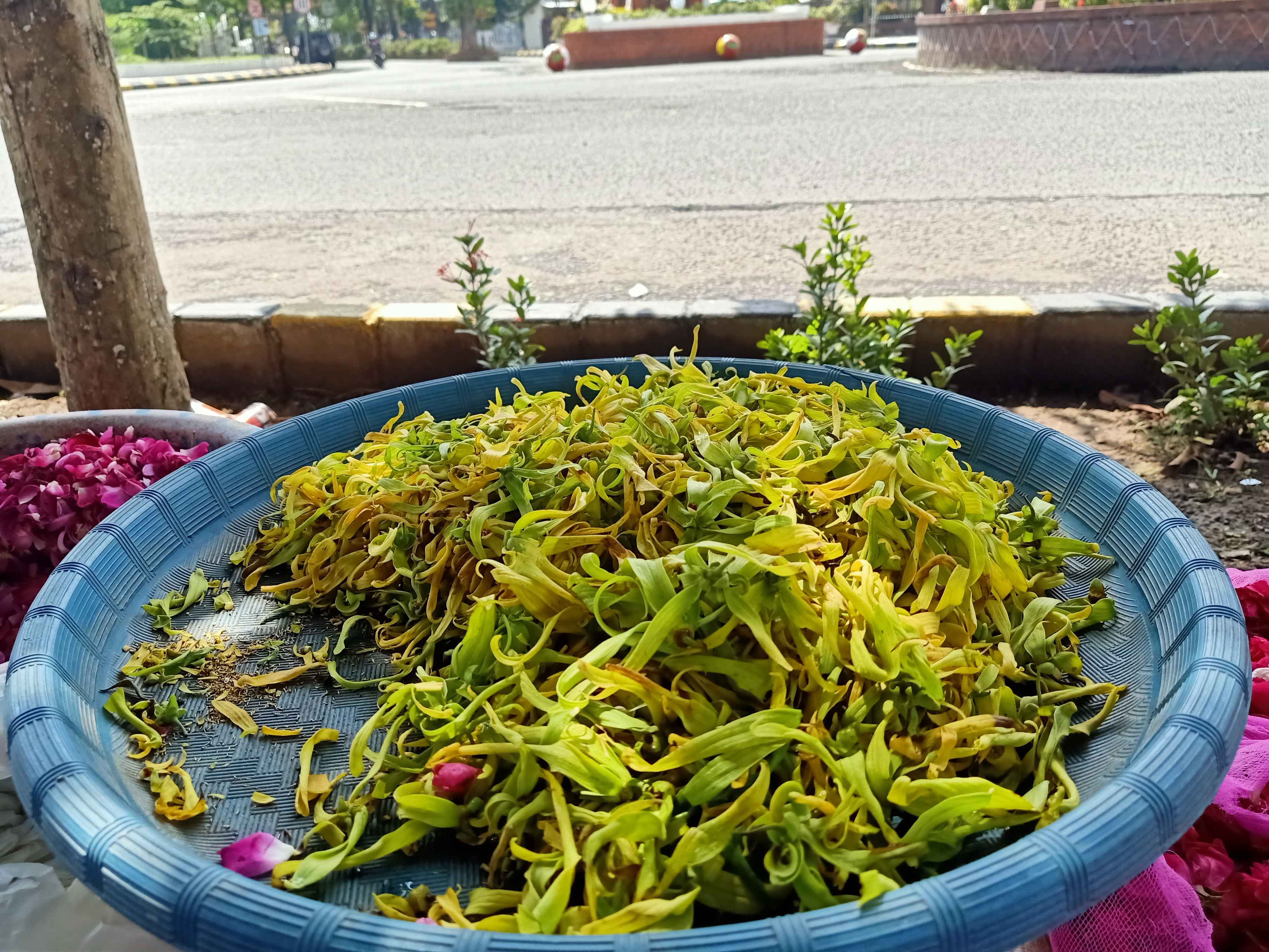 Bunga kenanga. Foto dokumen pribadi (Sri Rohmatiah)