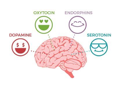 Ilustrasi hormon gembira (Sumber : profesi-unm.com)