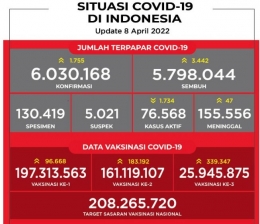 Data Situasi Covid-19 di Indonesia I Sumber foto: covid19.go.id