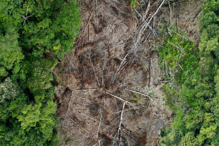 Deforestasi yang terjadi di Kalimantan. Foto : Rhett A Butler/ mongabay.co.id