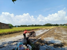 Foto petani sedang membajak. Foto dokumen pribadi/Sri Rohmatiah