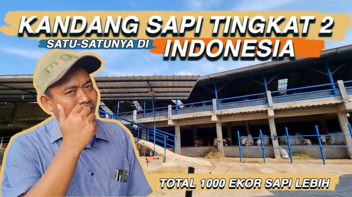 sumber: Youtube Sumber Ternak Farm