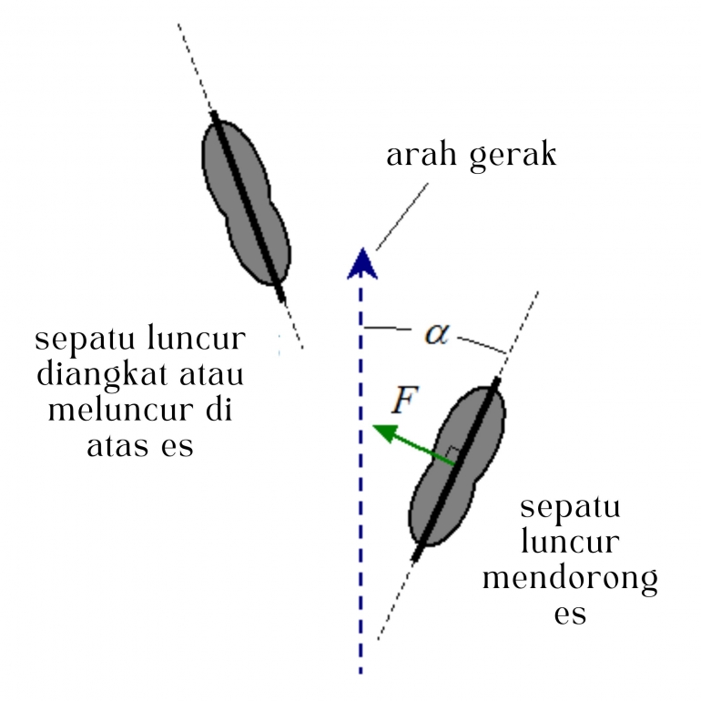 skate-6254de2d3794d13d395eb2b2.png