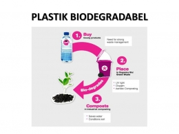 Proses Biodegradasi Plastik/Sumber: https://slideplayer.info/slide/13811583/