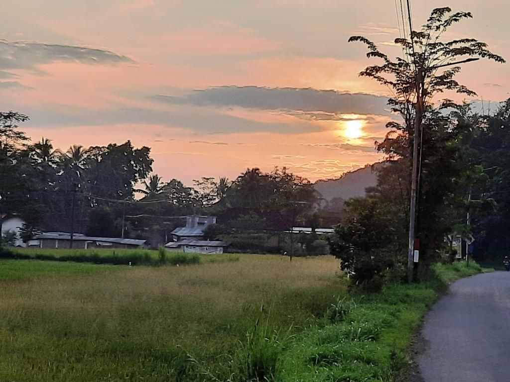 Sepanjang jalan banyak keindahan visual. Dokumentasi pribadi